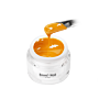Emmi-Nail Color Gel Mandarin -F290-