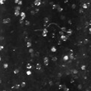 Emmi-Nail Color Gel Black Glitter 5ml -F101-