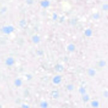 Emmi-Nail Color Gel Rainbow Pearl Glitter 5ml -F016-