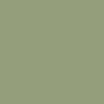 Emmi-Nail Color Gel Nude Olive 5ml -F069-