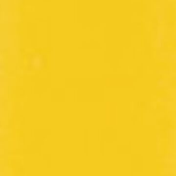 Emmi-Nail Color Gel Sunny Bee -F472-