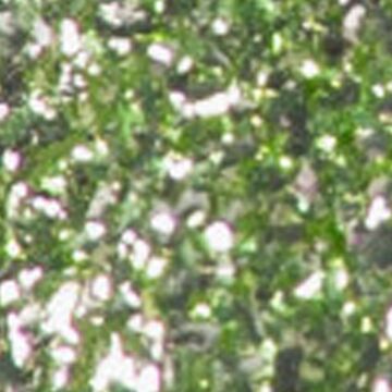 Emmi-Nail Glitter Gel Grinch Green Glitter -F437-