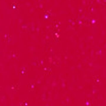 Emmi-Nail Glossy-Gel Dragonfruit 5ml -F209-