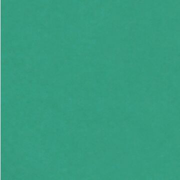 Emmi-Nail Color Gel Caribbean Turquoise 5ml -F110-